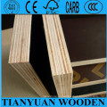 18mm Film Faced Shutter Ply, Hardwood Lumber